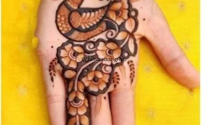 Sriansh  Mehndi  Art